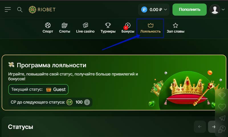 Программа лояльности Программа лояльности